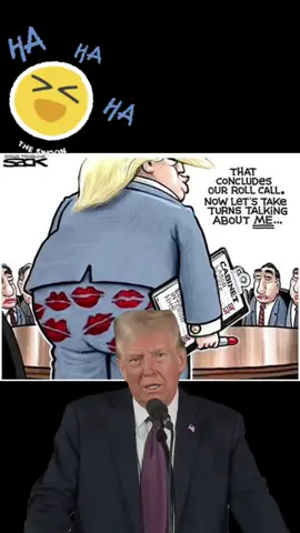 Just funny. You can put so many different pics in this one. 🤣😂#Meme #MemeCut #capcut #trump #viral 