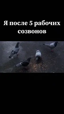 #кодинг#программист#itlife#юмор#itюмор