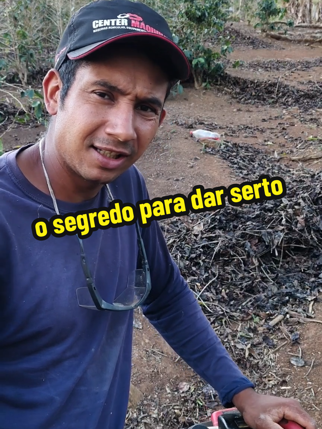 só dá errado se desistir #registrodevida #reflexao #motivacao #trabalho #agro 