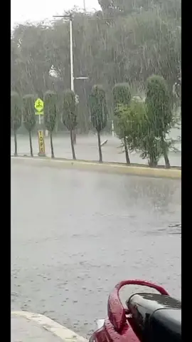 #tiktoklive #livehighlights  Mientras unos nos quedamos por tener un trabajo estable y un techó, otros tienen que salir a buscar el sustento para su familia bajo el Sol y la lluvia 🌧️ Animo campeón, siempre sale para llevar un taco a la mesa