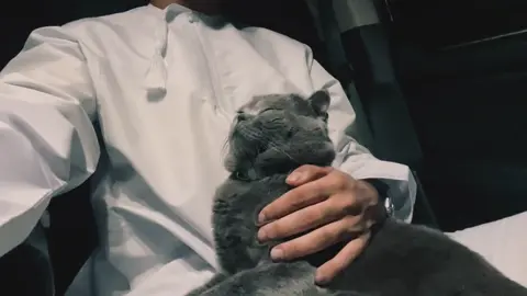 Leo.. 🐈‍⬛ ✨ #explore #foryou #fyp #اكسبلور 