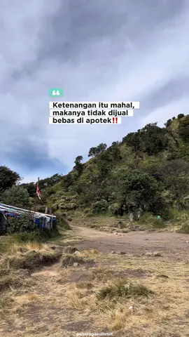 ketenangan itu mahal, makanya tidak dijual bebas di apotek‼️ 📍gunung lawu 3625 mdpl #ponorogosummit #gununglawu #fyp #viral #xyzbca 