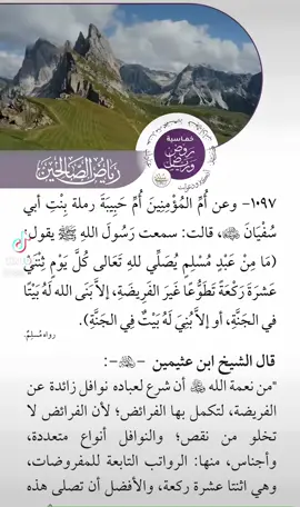 #اكسبلور 
