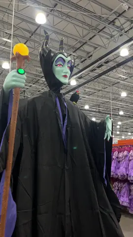 If I won the lottery there would be signs #halloween #costcofinds #costcocanada #maleficent #disneyhalloween 