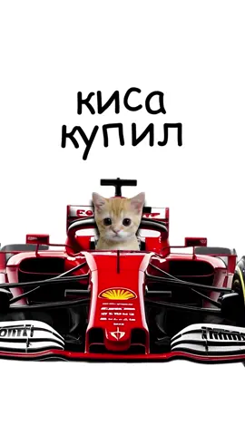 Киса купил Формулу 1