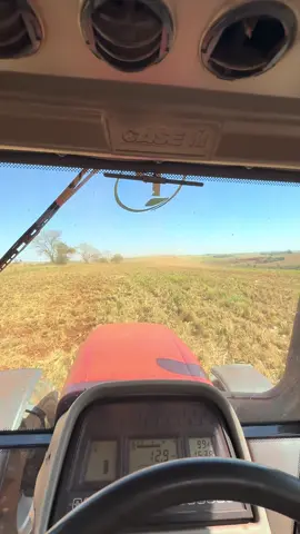 SAROBA📍.                                                              #Agro_Preto #saroba #caseih 