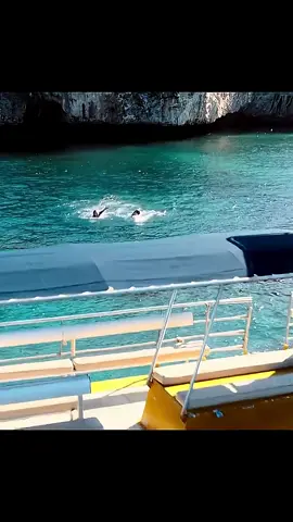 #viral?videotiktok😇😇1mellean 