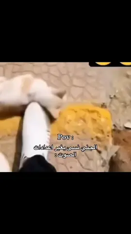 #ترند #الشعب_الصيني_ماله_حل😂😂 