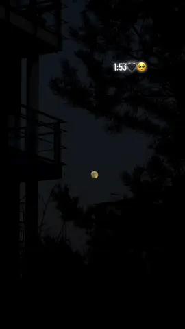 🖤