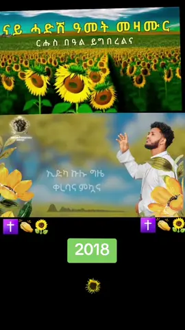 #ኦርቶዶክስ_ተዋህዶ_ፀንታ_ለዘለዓለም_ትኑር #ድንግል_ማርያም_እናቴ #🙏🙏🙏 #LIVEIncentiveProgram #LIVEwithlowfollowers 