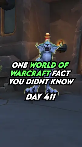 Here’s one world of Warcraft fact you didn’t know! Day 411 #warcraft #worldofwarcraft 
