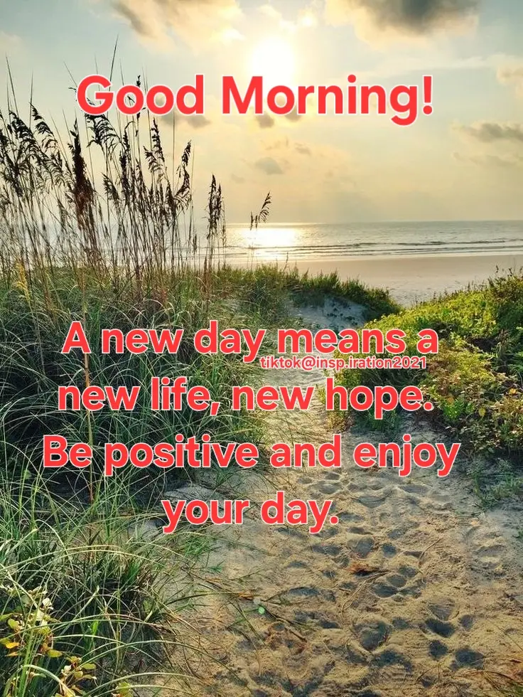 #happywednesday #wednesday #haveagreatday #goodmorning #fyp 