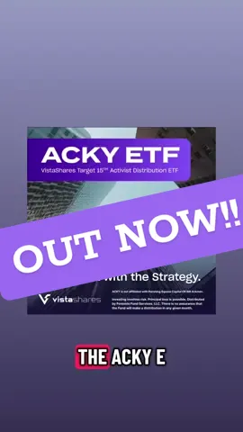 I already own 1k of OMAH, my goal is to get 1k of QUSA, and 1k of ACKY. Let me know what ya think! @VistaShares ETFs #financialfreedom #passiveincome #investing #etf #dividends 