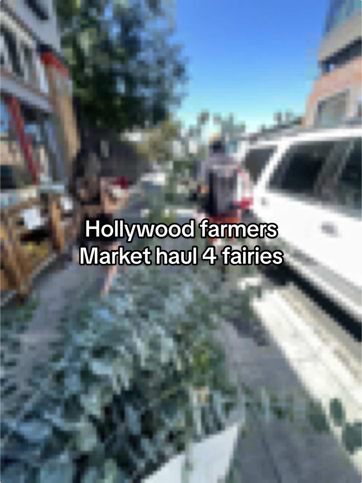 Went to the Hollywood farmers market as I'm only eating cute food made for feral fairies.  Eating flowers & harrys berries  + juice to make one more magical 