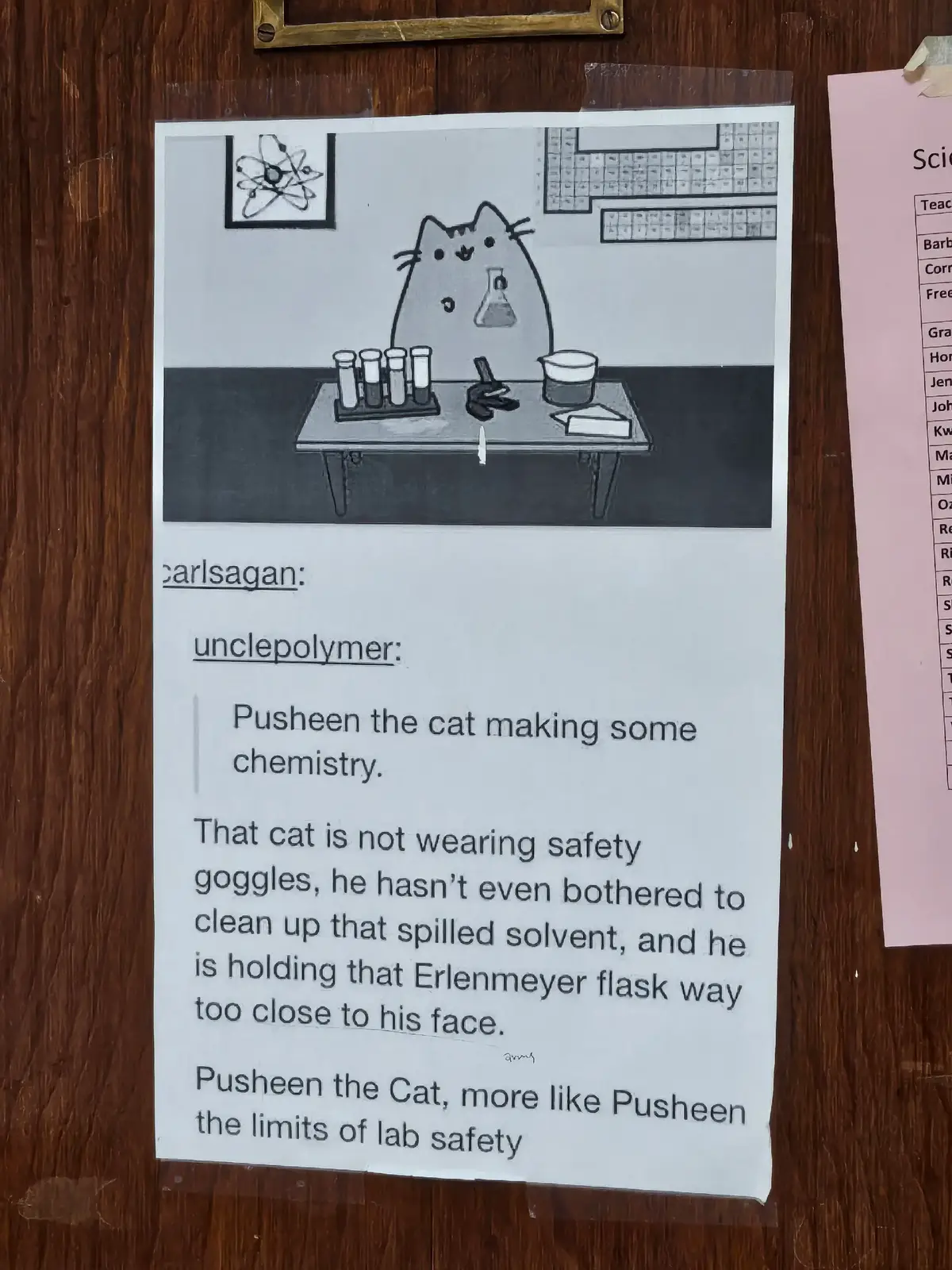 my new fav chemistry teacher (I don't even have them)  pusheen the cat? more like pusheen the limits of lab safety. that cat is not wearing safety goggles!! #pusheen #cat #chemistry #school #science 