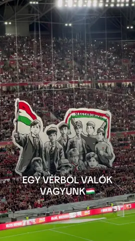 Magyarország - Portugália VB selejtező #foryou #budapesthungary🇭🇺 #puskásaréna #futball #nélküled