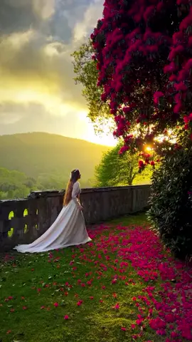 🌺🌸🪷🍁🌹🌼🌿🪴🥀☘️