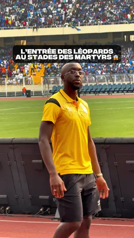 Les léopards 🐆🇨🇩 #barrosjr #rdc #congo #senegal 