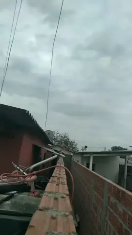 Laura no passinho 