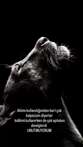Unutmuyorum ...  ... 