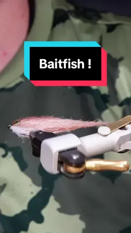 Bonnie Cord Baitfish! Hook: Ahrex NS172 size 10  Body: Bonnie cord from CFB Resin: uv craft  Thread: 0.10 mono  Tools: TheFlySmith  #TheFlySmith #flytying #fly #flytyingjunkie #flytyingtutorial 