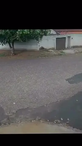 O cara é ninja #fyp #foryoupage #viralvideo #viral #videosengracados 