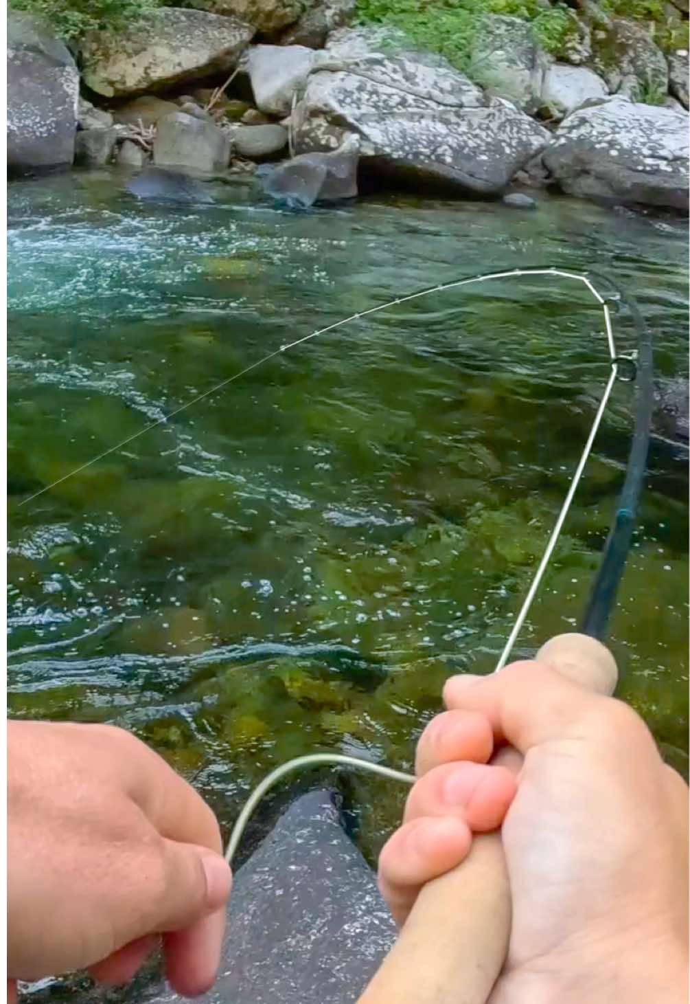 Bull trout on the fly!! #bulltrout #fishing #flyfishing #adventure #fyp 