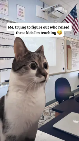 Having the cajones to curse out your teacher is something I still cannot wrap my head around #teaching #teachers #teachersoftiktok #teacherlife #teachertok 