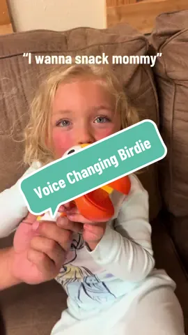 Get your very own voice changing birdie 🤣 #toys #silly #tiktokshopfinds #toddler 