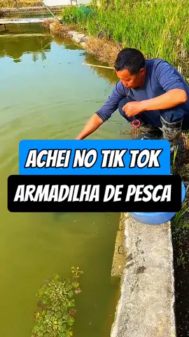 Armadilha de Peixe #peixe #tilapia #pescaria #pesca #armadilha 