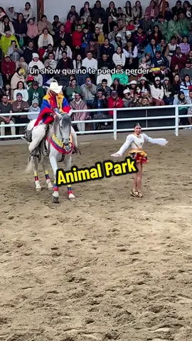 🐴✨ ¡Diversión y talento en Animal Park, Baños! Observa cómo un caballo y una bailarina dan vida al juyayay en un espectáculo único que encanta a todos. 🇪🇨 #DescubreEcuador #AnimalPar#4MundosUnDestino #TurismoEcuador #LugaresParaVisitar