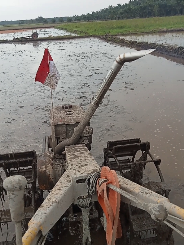 gemah ripah loh jinawi #fypシ゚ #petaniindonesia🇮🇩🇮🇩🇮🇩🌿🌿 #petanisawitindonesia🇮🇩 #petanimuda #traktorsawah #traktor #sawah #education #modifikasi #yanmar #knalpotracing 