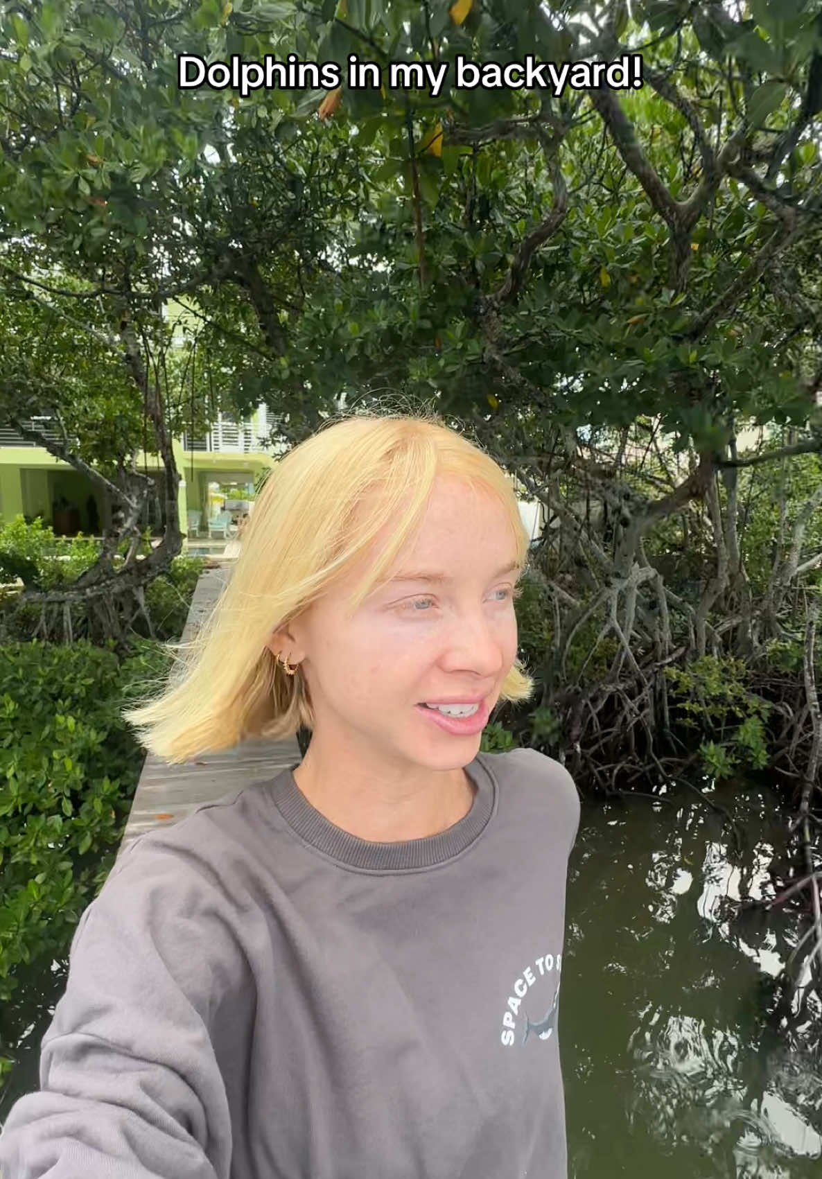 I’m sorry for my bad videography skills… I swear there was a large pod of dolphins in my backyard lol #storytime #flkeys #florida #dolphins #dayinmylife 