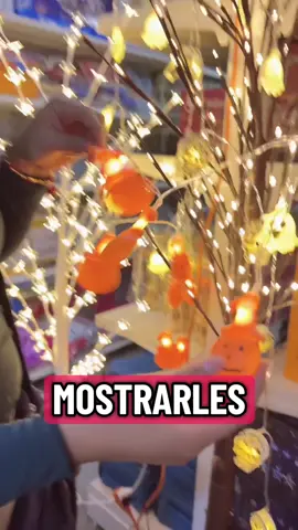 #videoviral #paratii #vi #fly #viral 