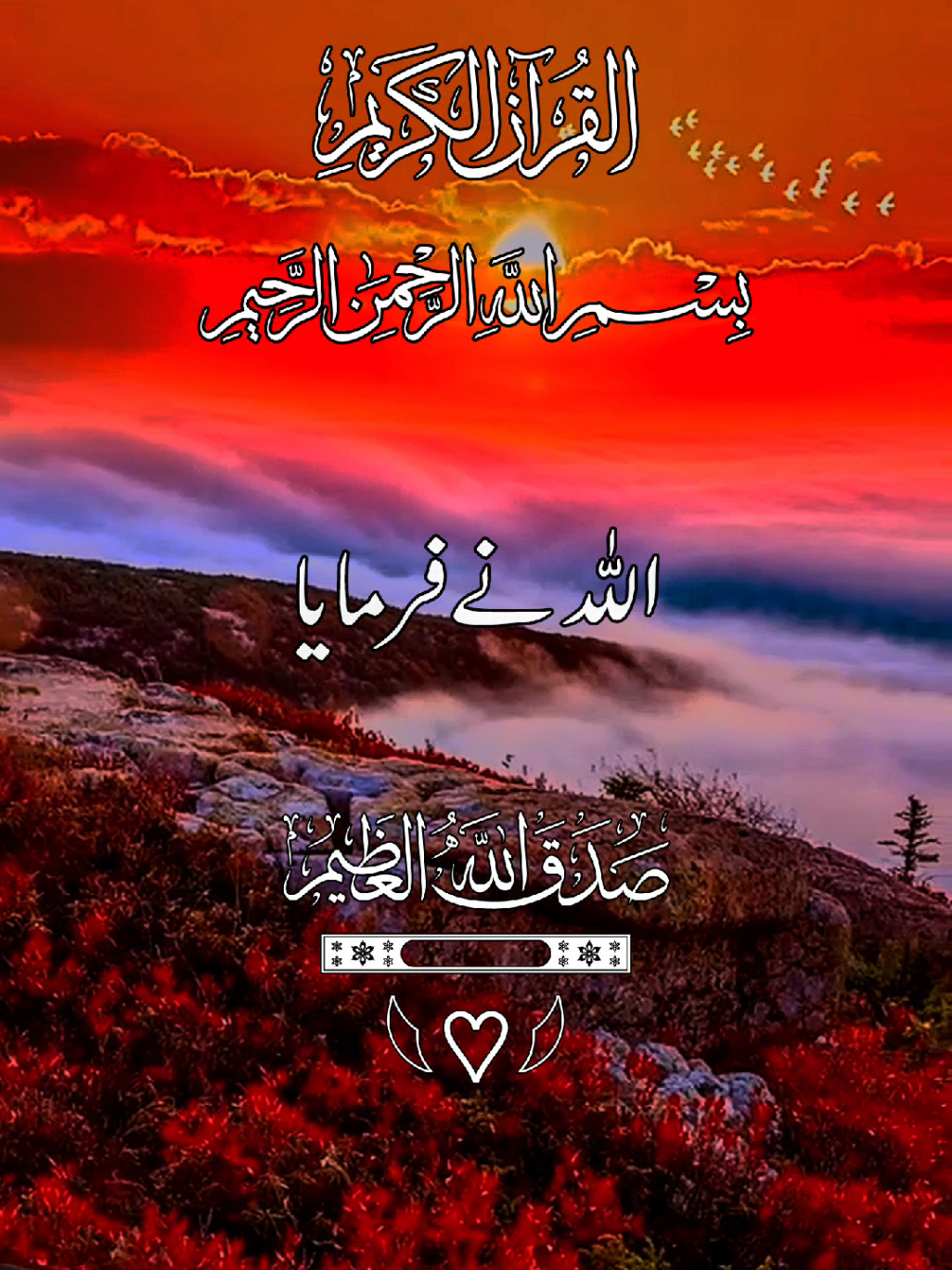 #القران_الكريم_راحه_نفسية😍🕋 #ماشاءالله_تبارك_الله #ارحمو_من_في_الارض_يرحمكم_من_في_السماب #الحمدلله_دائماً_وابداً #foryoupage❤️❤️ @TikTok @tiktok creators @꧁𝗛𝗼𝗹𝘆༺ قرآن꧂ @🥀📖.القران الكريم.📖🥀 @TikTok Trends @🌻القرآن الکریم 🌻 @Jia @🌹📖قرآن Al Quran 📖🌹 