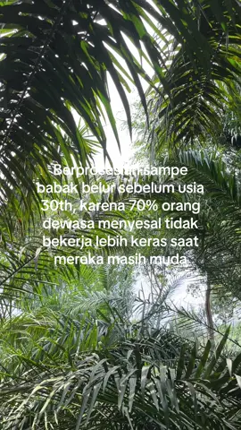 #sawit #bossawit #petanimuda #masukberandafyp #fyppppppppppppppppppppppp 