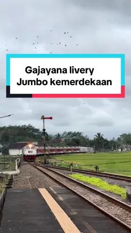 Berikut adalah kereta api gajayana dari malang menuju jakarta passing di stasiun Ngebruk #kai #railfansindonesia #keretapaiindonesia #kagajayana 