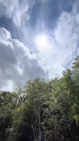sun is no joke #florida #fishing #swimming #boatshade #Summer 