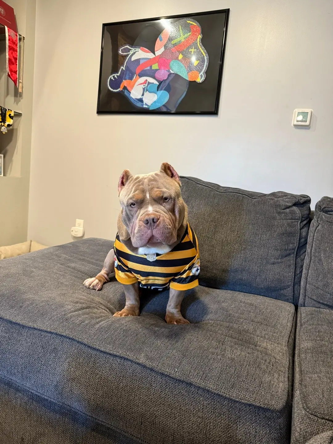 Steelers Super Bowl SZN 
