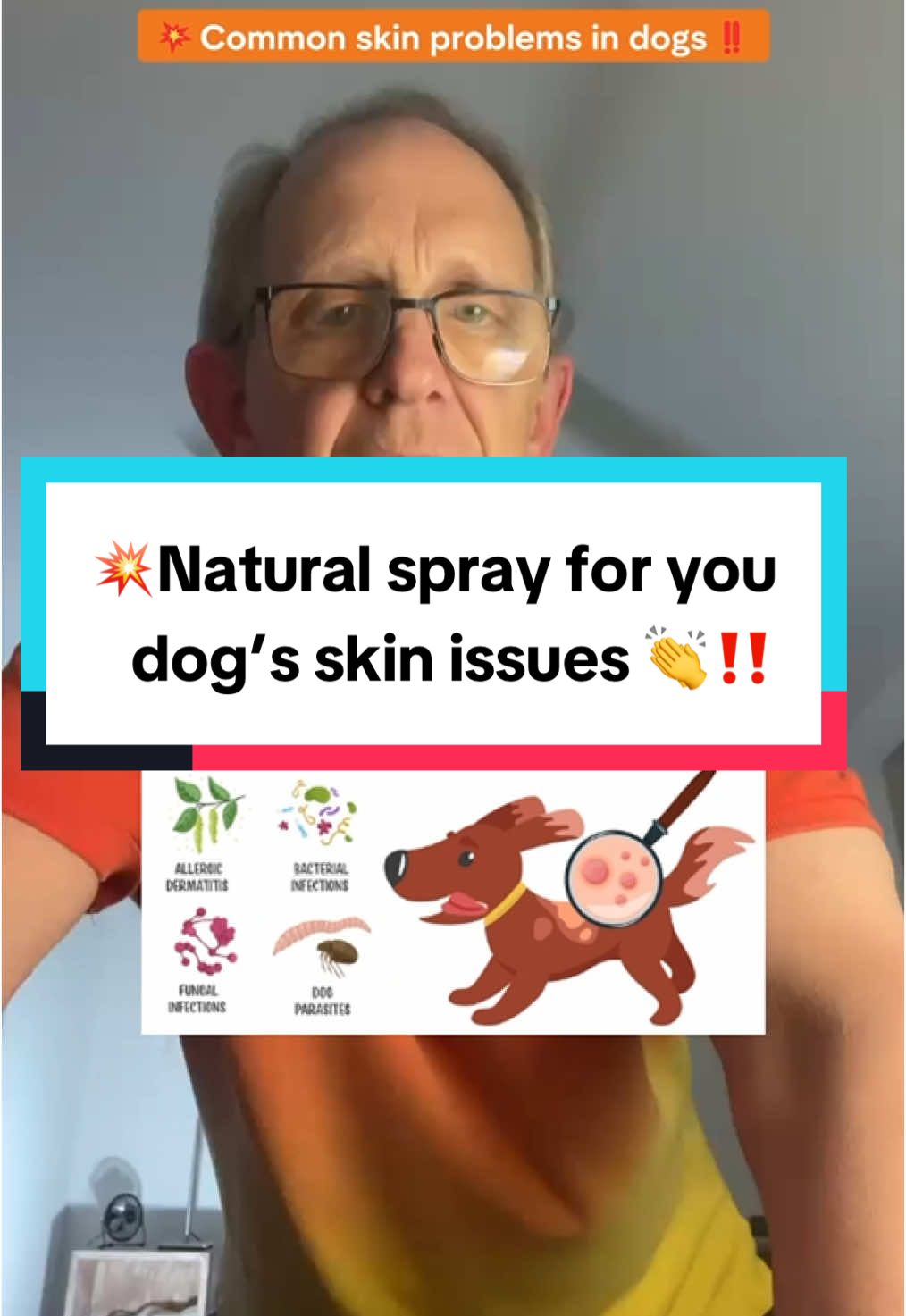 💥If your dog suffers from seasonal or skin allergies and you don’t want to use Apoquel or Cytopoint, this Quantum Silver non-toxic skin spray is perfect for you 👏‼️ 👉Its naturally soothing and moisturizing formula, relieves itching, and various skin issues caused by environmental and seasonal factors 👍‼️ . . #d#dogallergytipsd#dogallergyreliefd#dogswithallergiesd#dogallergiesd#dogseasonalallergiese#environmentalallergiesd#dogskincared#dogskinproblemd#dogskinissuesq#quantumsilvera#apoquelc#cytopointd#doghotspotsd#doghairlossd#dogyeastinfectiond#dogpawsr#ringwormm#mangedog#doghealthg#doghealthtipsg#dogtipsg#dogwellnesg#dogsupplementsg#dogsuppliesg#dogessentialst#naturalsolutionsfordogsg#dogmomg#dogdadg#dogparentsg#dogowneret#petlifegpack #i#itchydog@P@PUAINTA.US