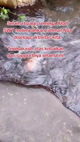#selamatpagi #salampersaudaraan #alampasundan #jawabaratistimewa #selamatpagiindonesia ndonesia