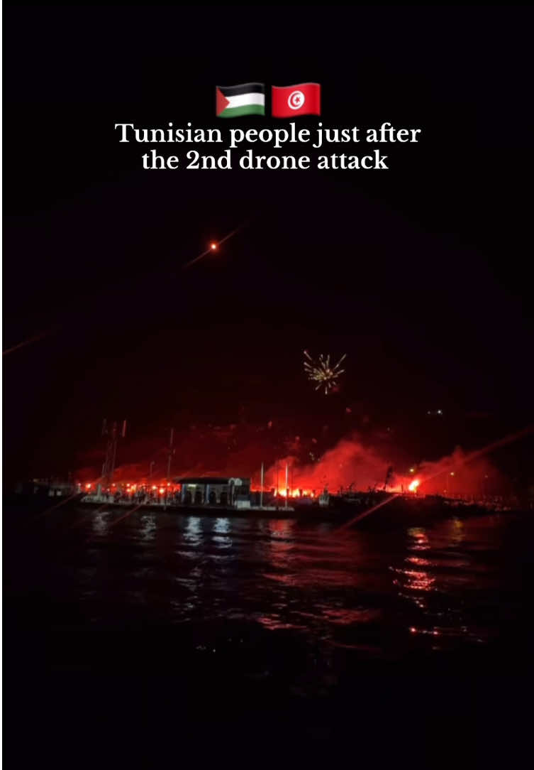 Tunisia : nothing will break our defeat 