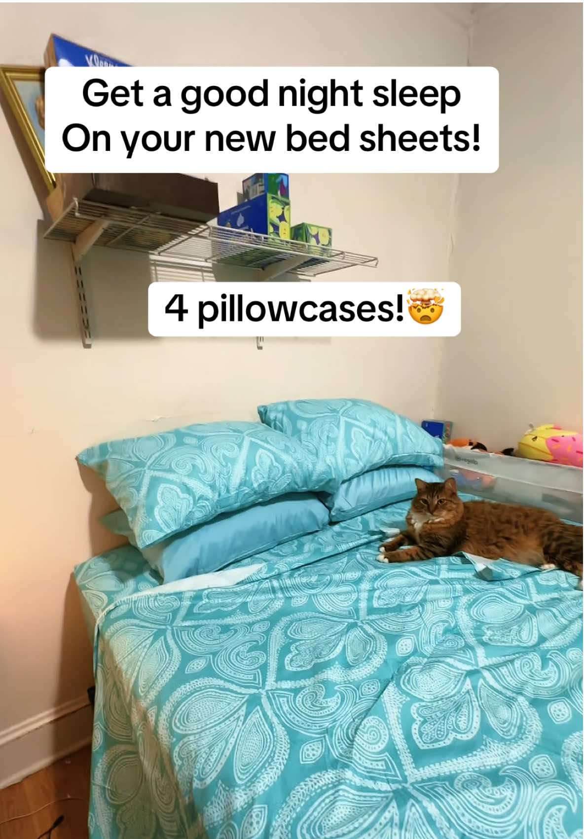 Get a good night sleep on these Paisley sheets six piece set four pillowcases unbelievable price! The holidays are coming. You’re gonna need new sheets get them today. #GoodNightSleepOnNewSheets #SoftSheets #CoolingSheets #NewSheets 