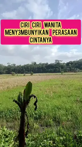 Ciri ciri wanita  menyembunyikan perasaan cintanya. #reels #fyptiktok 