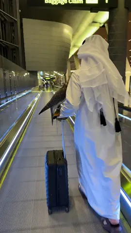 @لـيـث الطائي🦅🇦🇪 