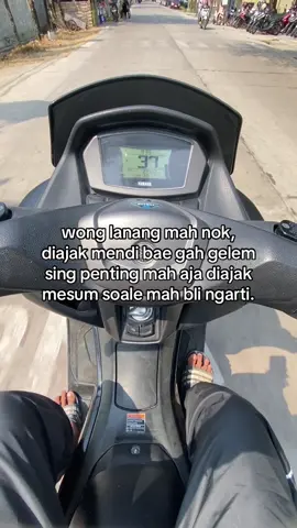 busung bli ngarti #tugupride🏴‍☠️ #tuguamnesia #indramayu_taiwan_🇮🇩🇹🇼 #indramayupride🏴‍☠️ #tarling_indramayu_cirebon 