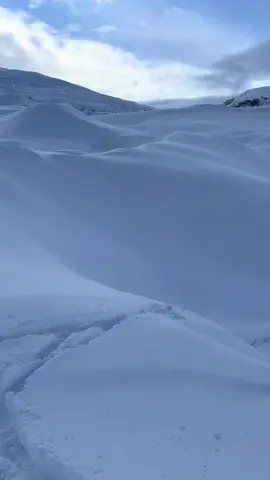 Untouched Snow Dunes in the Heart of Alaska #DeltaJunction #FrozenWilderness #AlaskaVibes