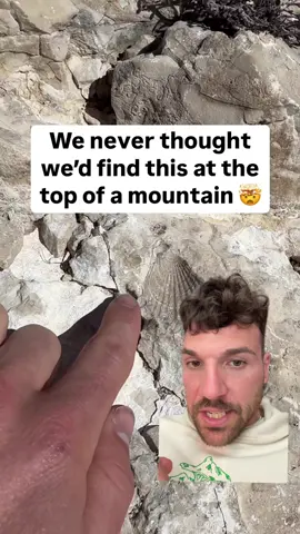 #greenscreen #greenscreenvideo 