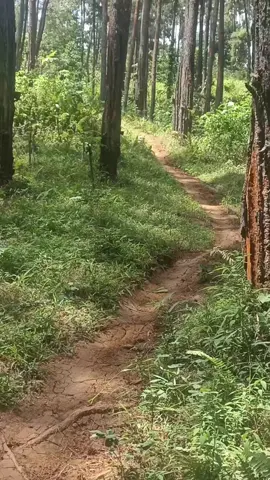 jalan2 dijalur mag banyumas