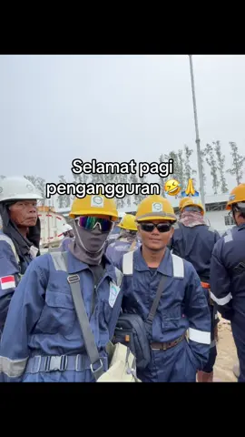 #scafolder 